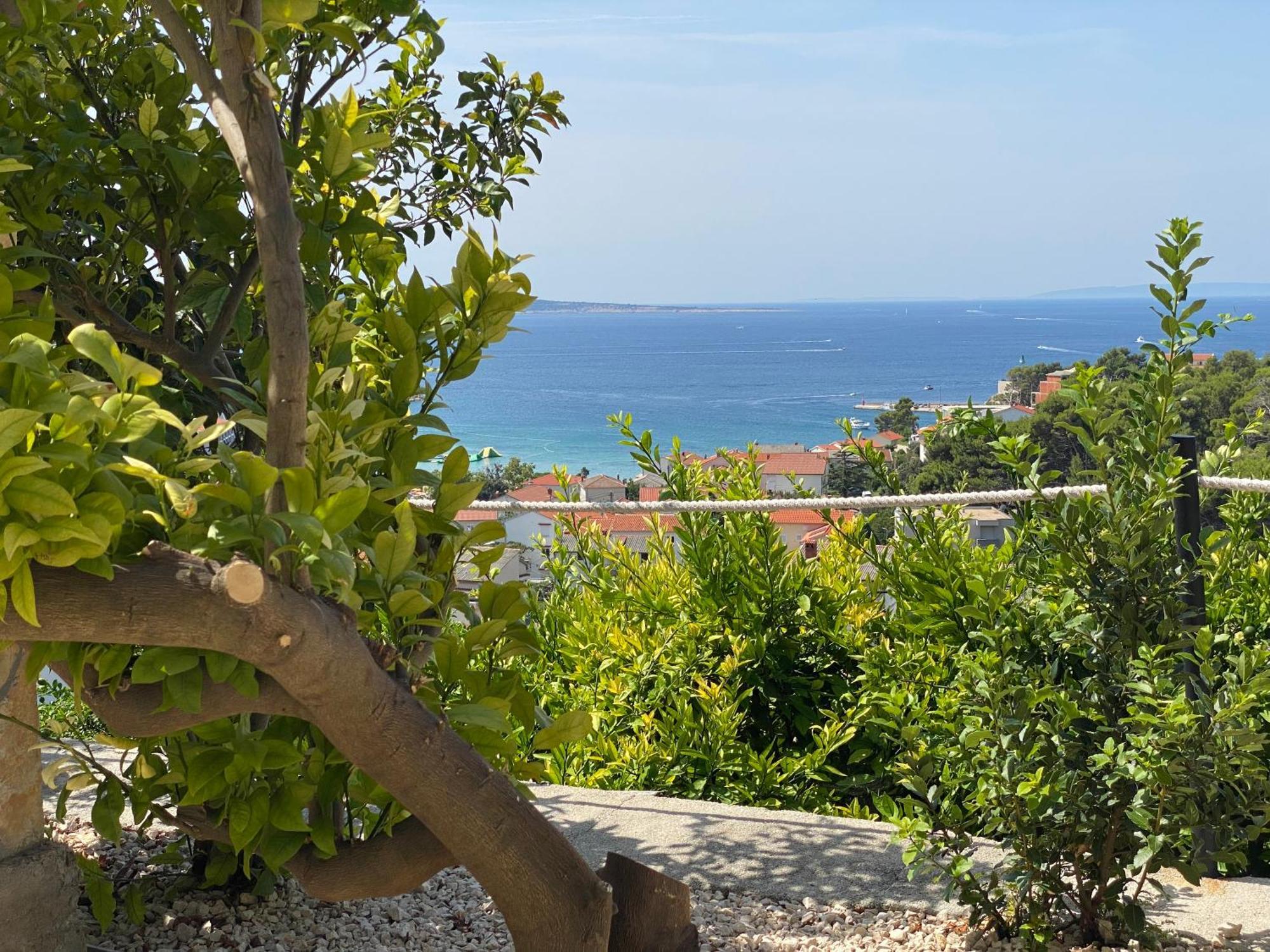 D&M Apartments Palit Dış mekan fotoğraf